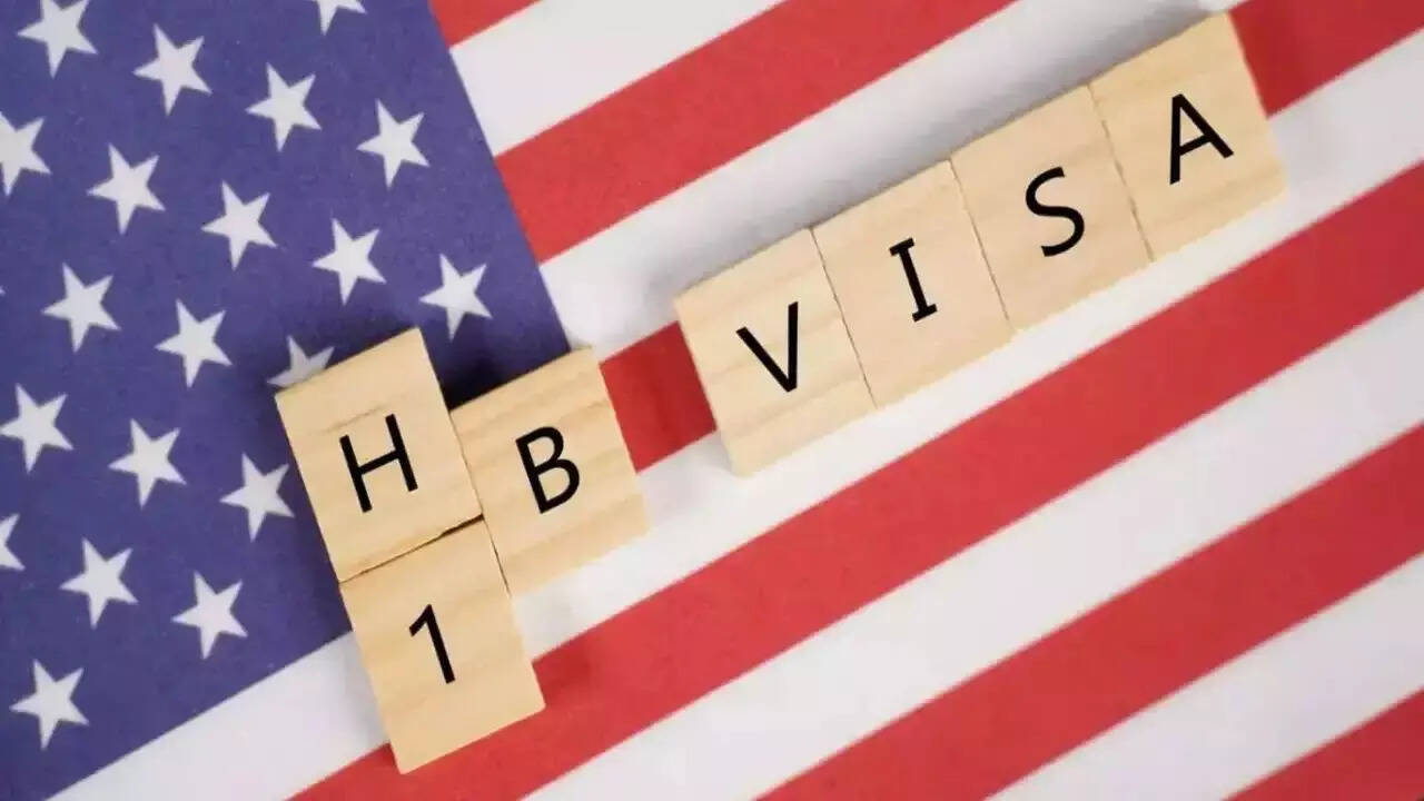 Travel alert for visa holders in US: Immigration experts say domestic flying has become risky, alarming rise in number of airport arrests
