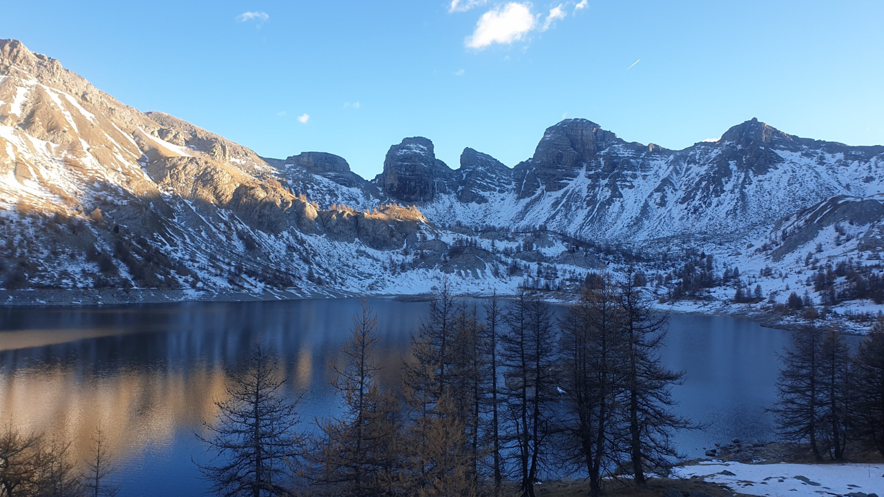 In 1924, Arctic charr from Lake Geneva were stocked into Lake Allos; a century later...
