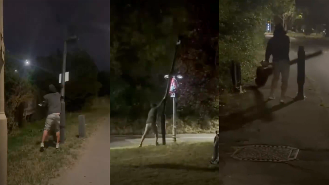 Cut with saws, hit with cars: why Americans are destroying 120,000 Flock cameras