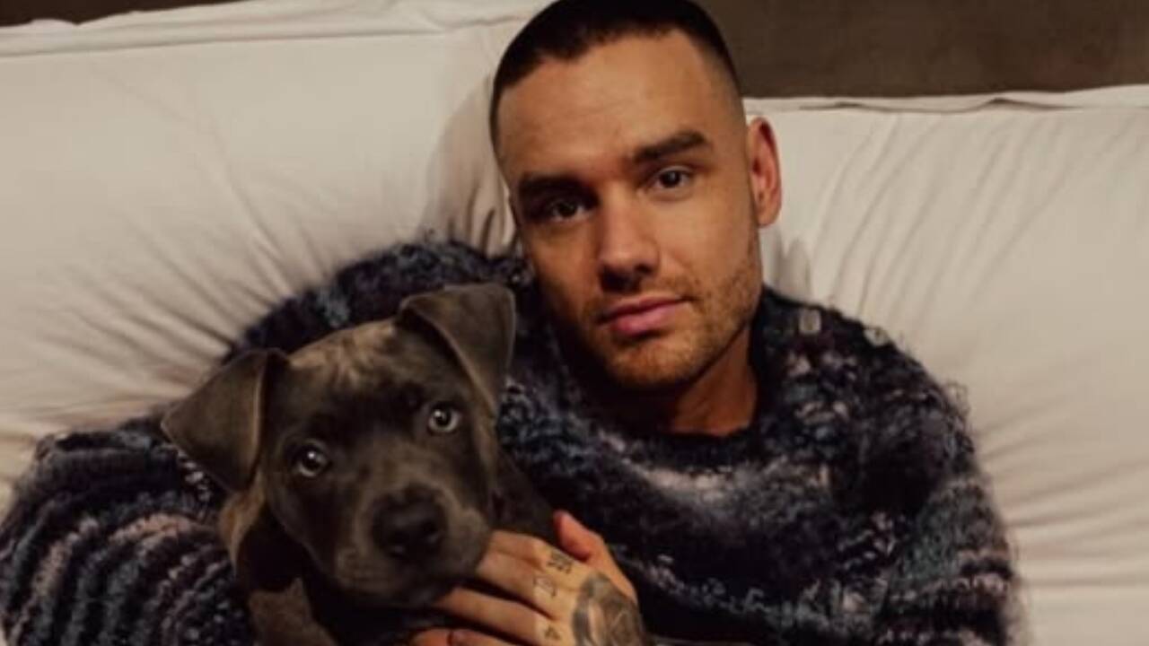 Two women from escort services detail Liam Payne's final hours