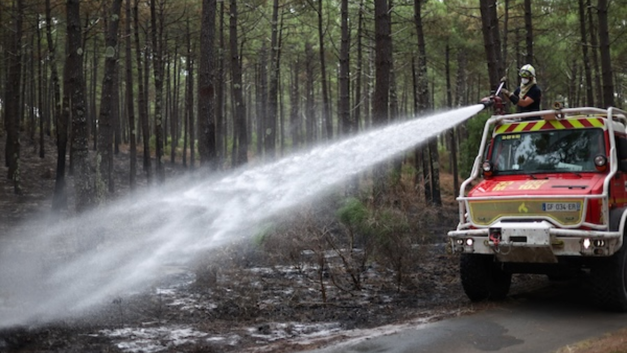 Bordeaux vineyards escaped the immediate wildfires, but repeated heatwaves are shrinking...