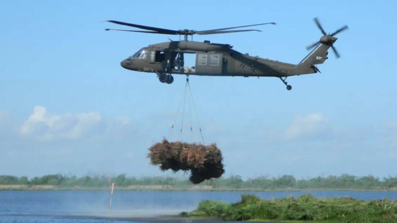 9,000 discarded Christmas trees help restore New Orleans wetlands