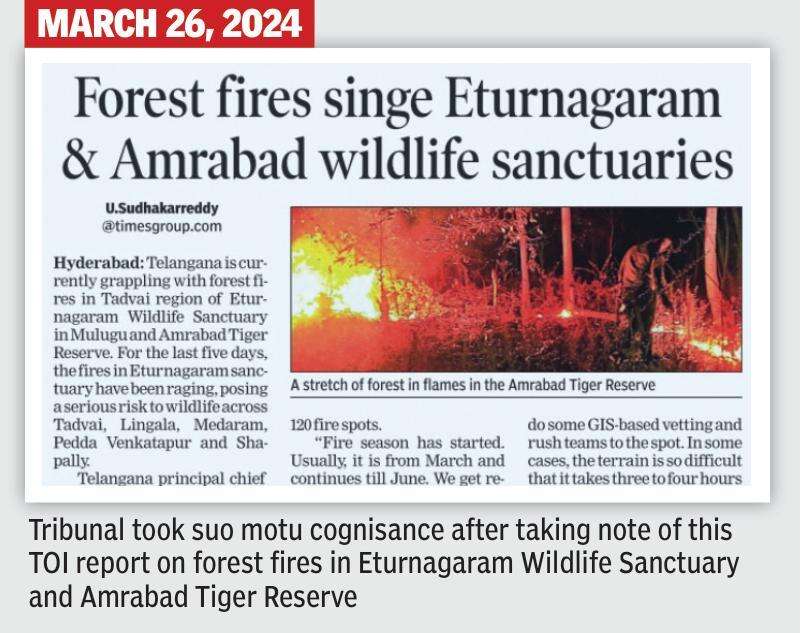 TOI Impact - forest fires.jpg