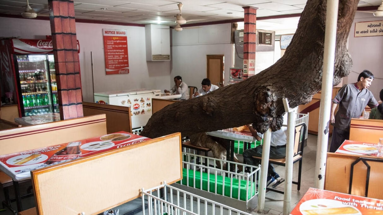 Lucky Restaurant in Ahmedabad