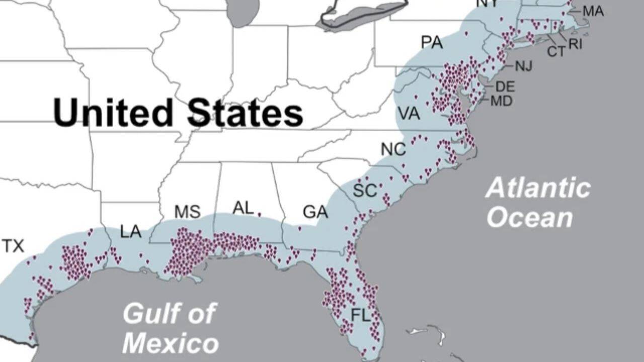 What is Florida’s flesh-eating bacteria that killed its first target