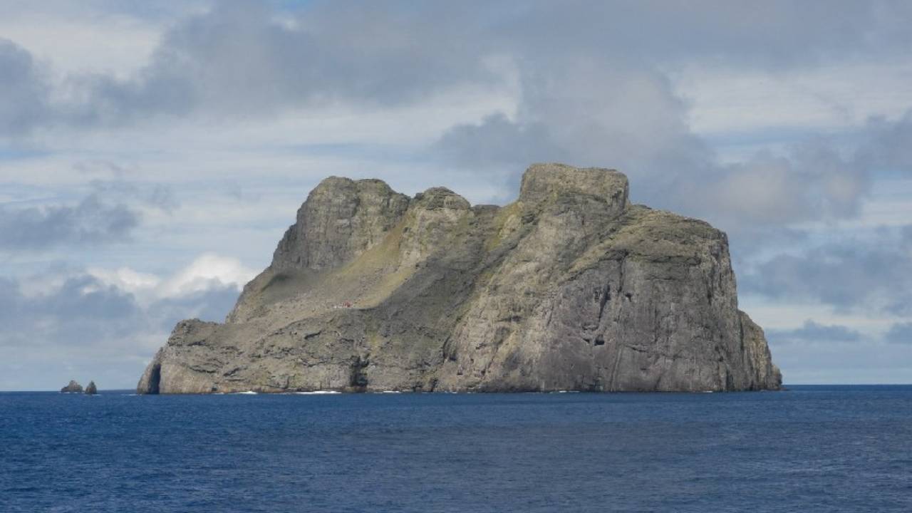 Inside the High Stakes War Over the Malpelo Sanctuary