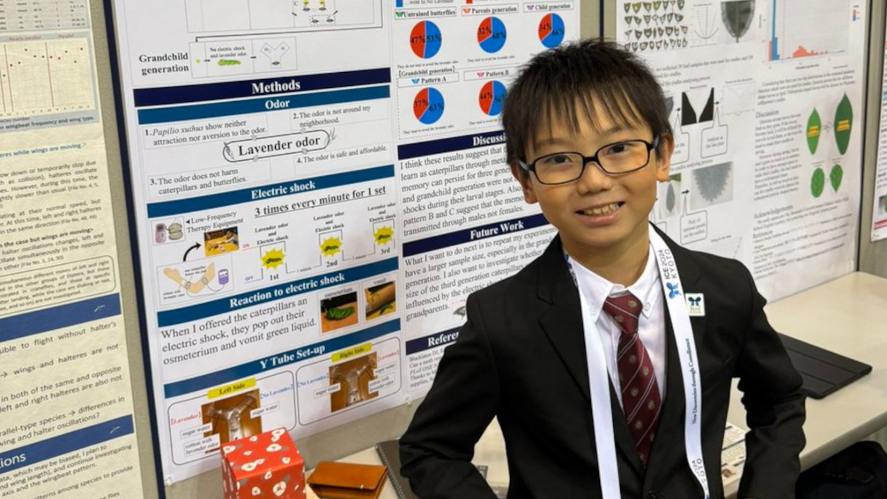 Meet Jo Nagai: 10-year-old Japanese student who discovered butterflies can remember their time as caterpillars after he noticed that the caterpillars he had raised to recognise him after turning into butterflies