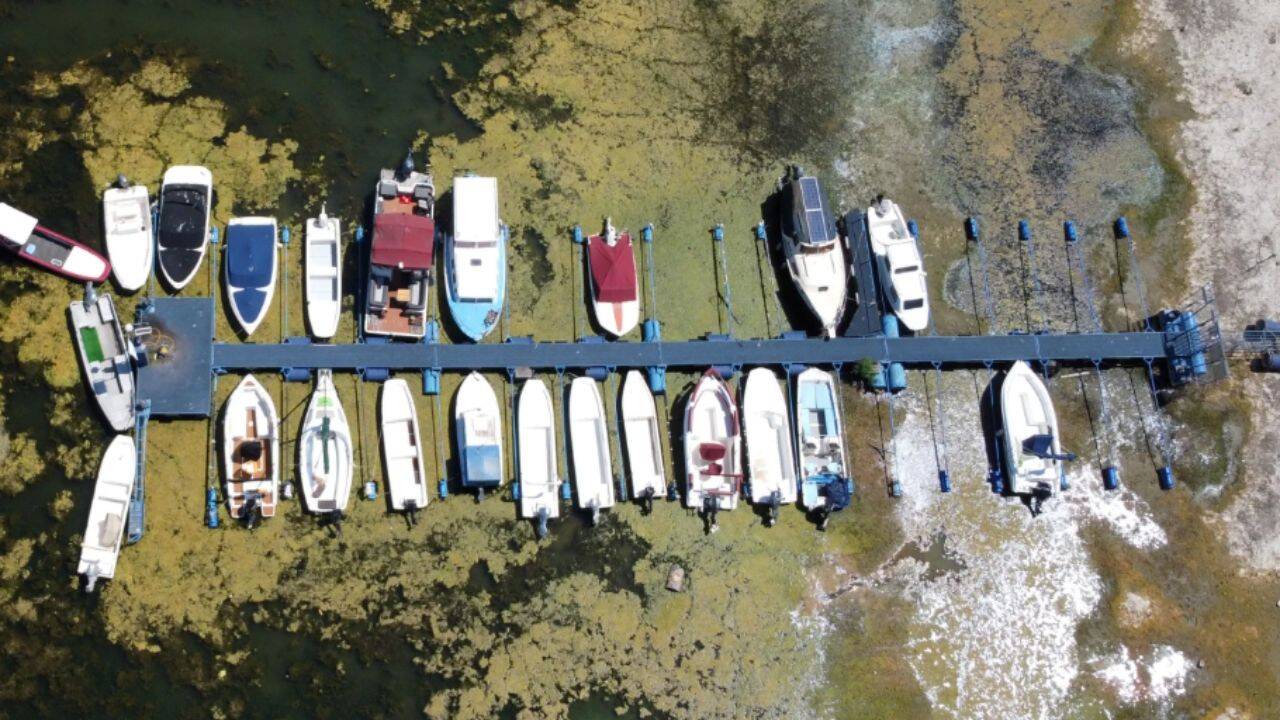 Europe’s shrinking rivers have hit shipping, power and tourism