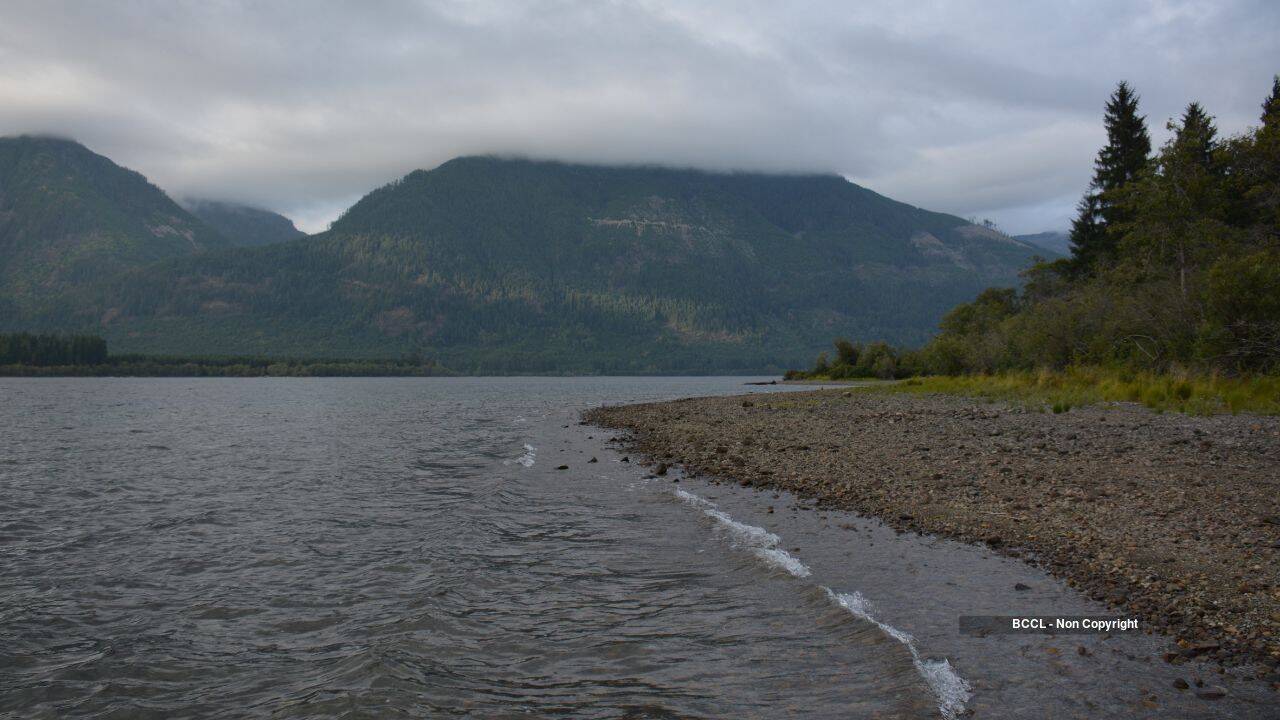 B.C. restores 70 hectares as Cowichan marsh faces 60% loss by 2100