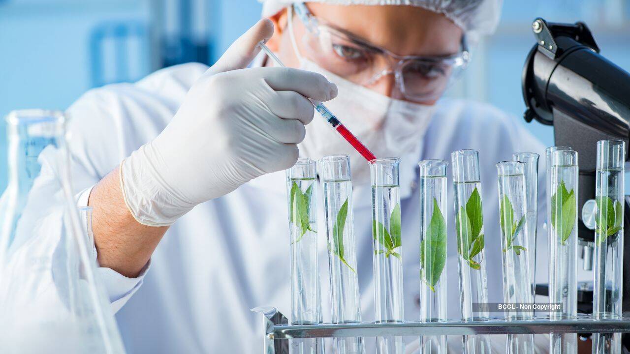 Toxic plants yield enzymes that could power future medicines