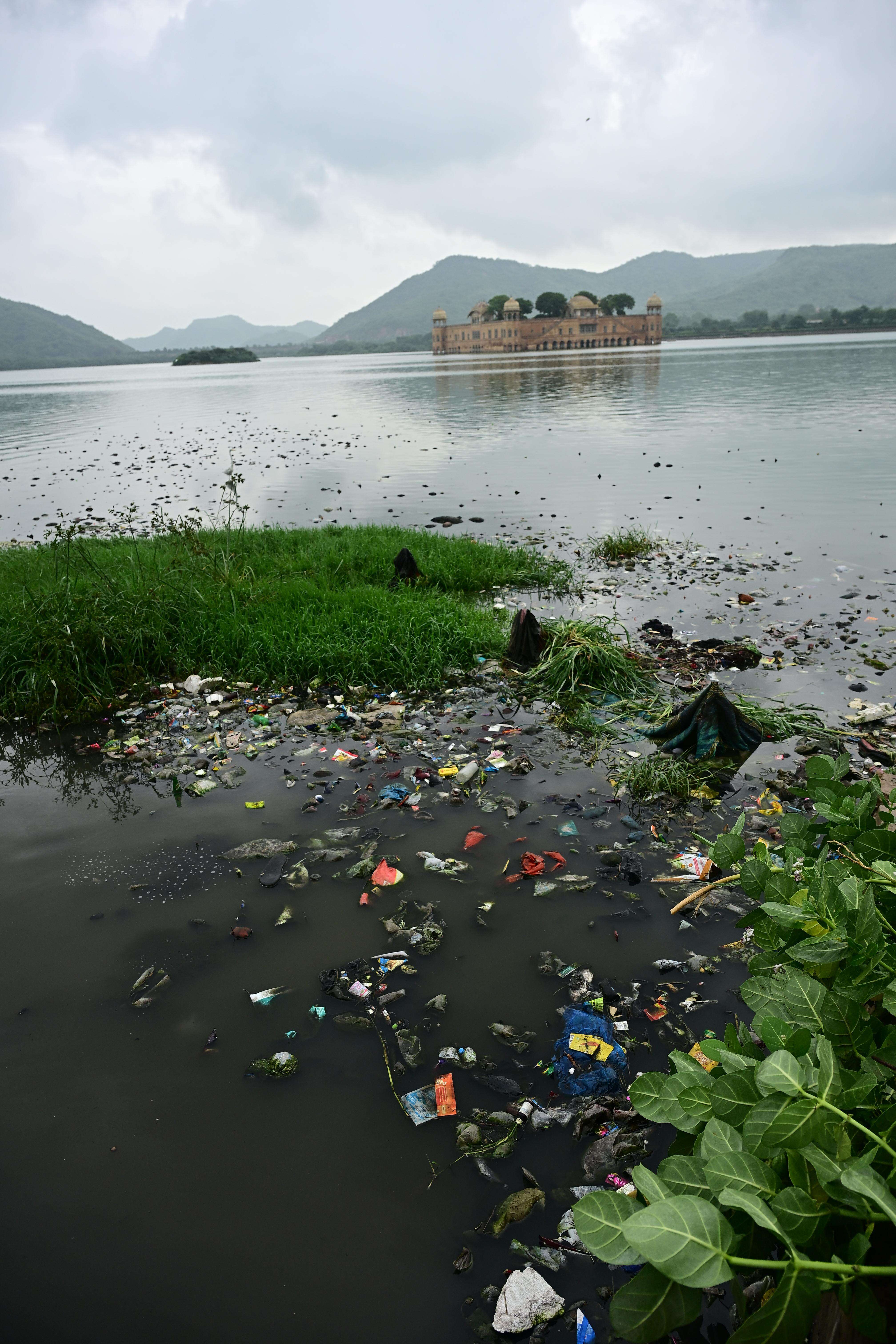 Jal Mahal garbage floating on Man Sagar lake (Bhagirath) (1).JPG