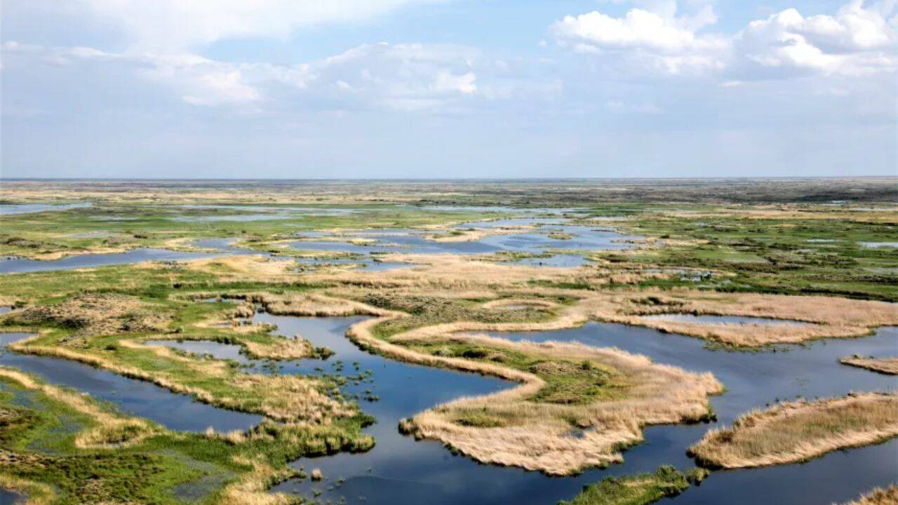 Ile-Balkhash State Nature Reserve<br>