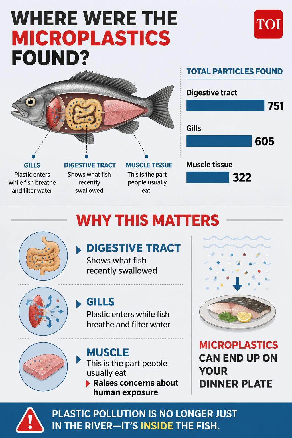 Why location of microplastics matters