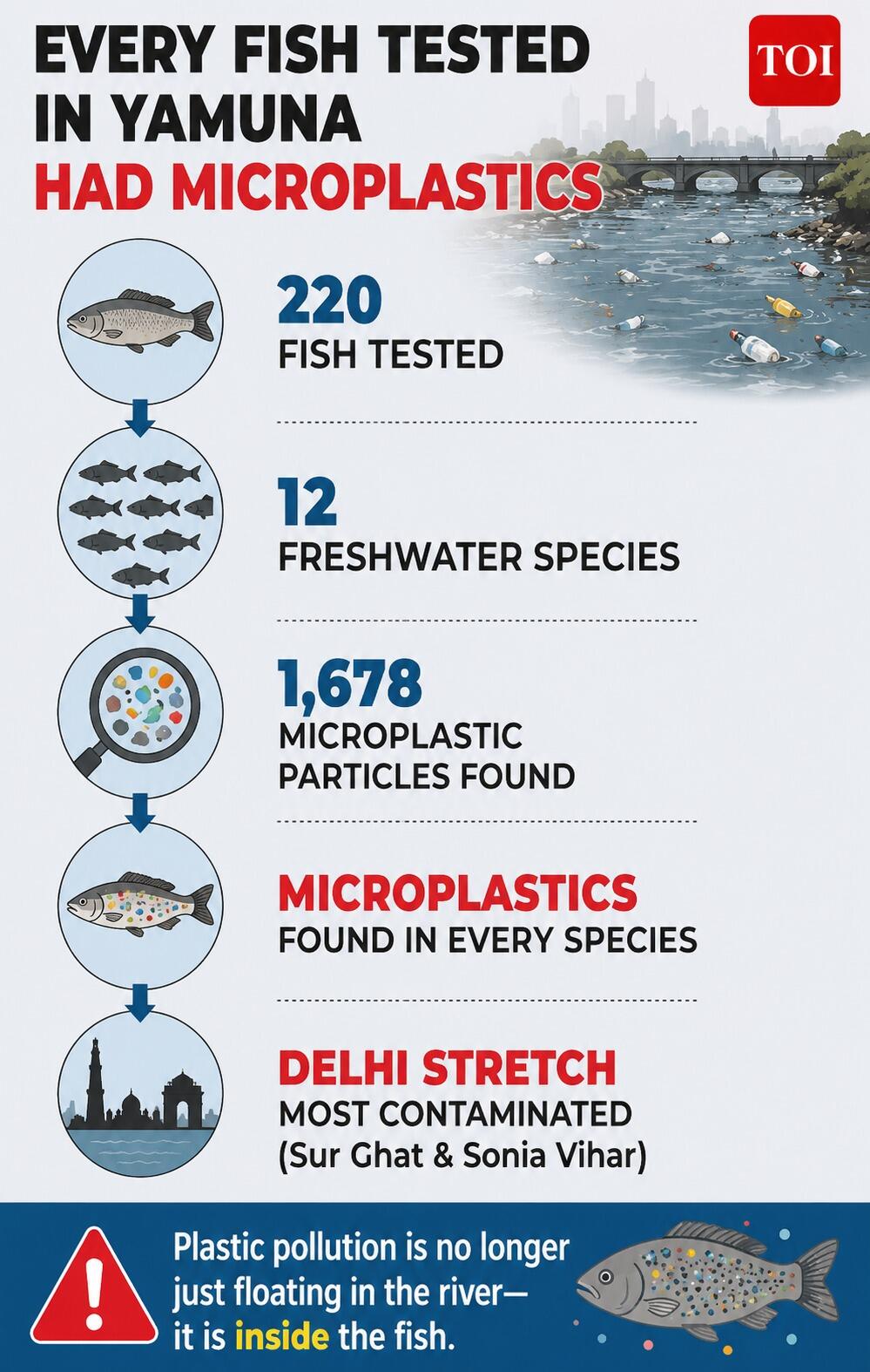 Every fish tested in Yamuna had microplastics