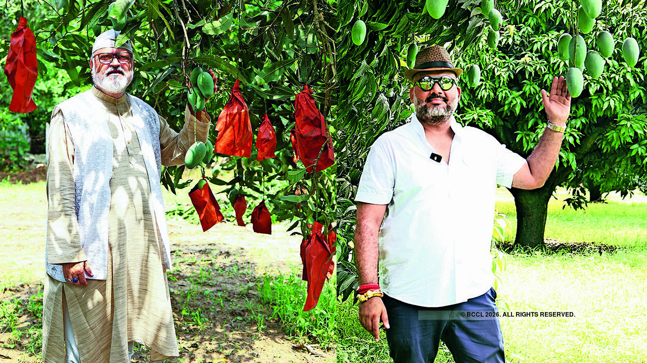Madhav Udyan and Meadery host Mango Mania with mead-making and mango tastings