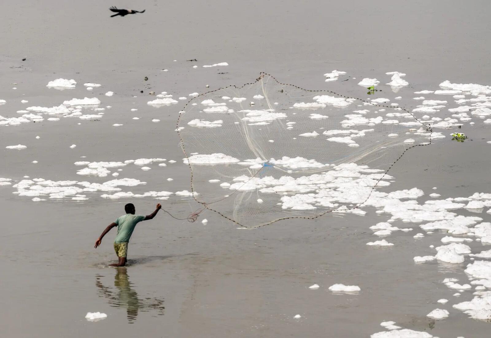 The researchers say feeding behaviour, habitat preference and proximity to polluted urban stretches influence the amount of plastic accumulated inside different fish species.<br>