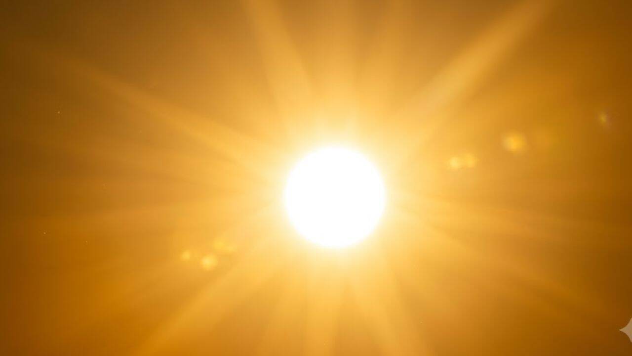 Sunlight