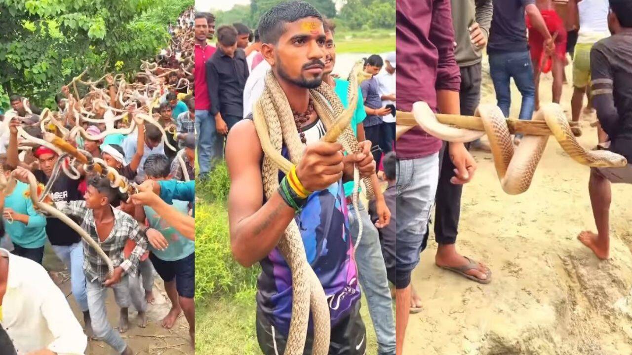 ‘LIVE’ snakes during Bihar's Nag Panchami mela