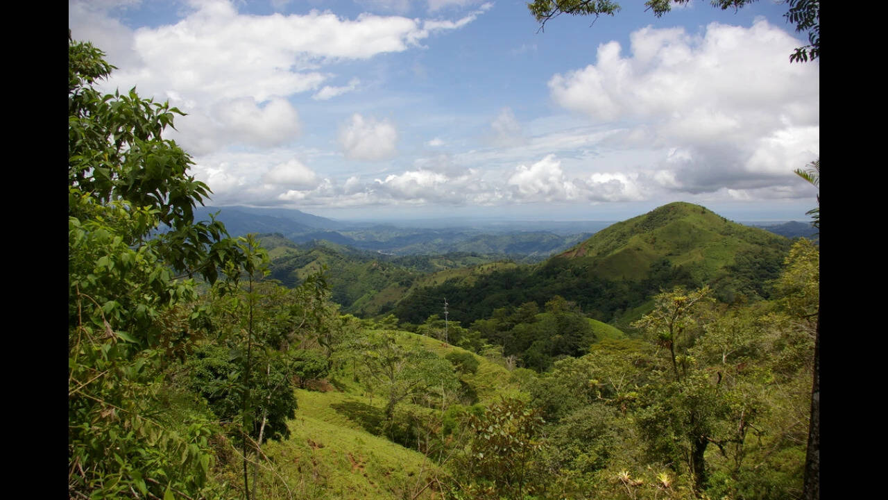 Costa_Rica_forest_view_-_panoramio