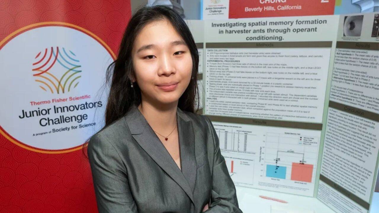 Meet Seungah Chung, the US eighth-grader who used 200 ants to discover landmark navigation
