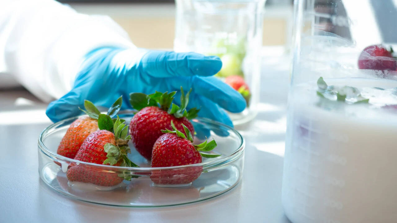 Strawberries dipped in the agar-based solution