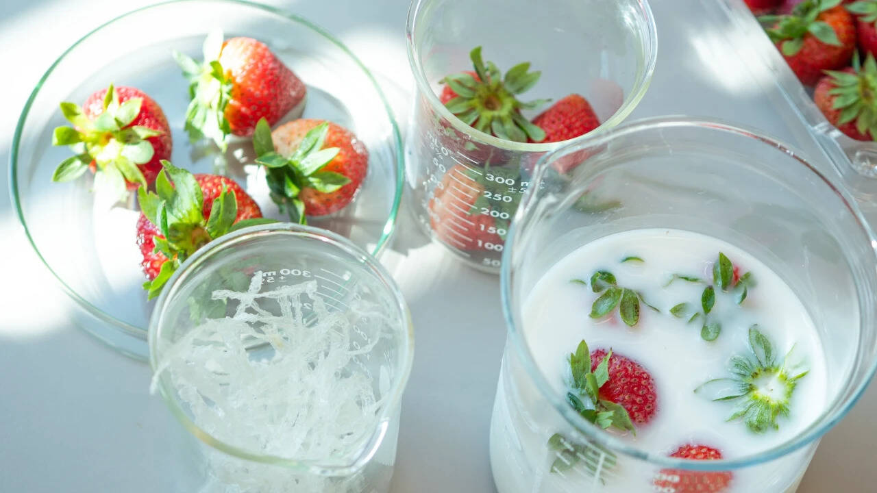 S<em>trawberries in the agar-based coating solution</em>​<br><br>