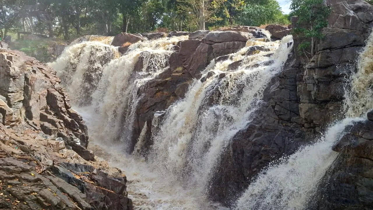 Tamil Nadu government vows to secure rightful share in inter-state river water