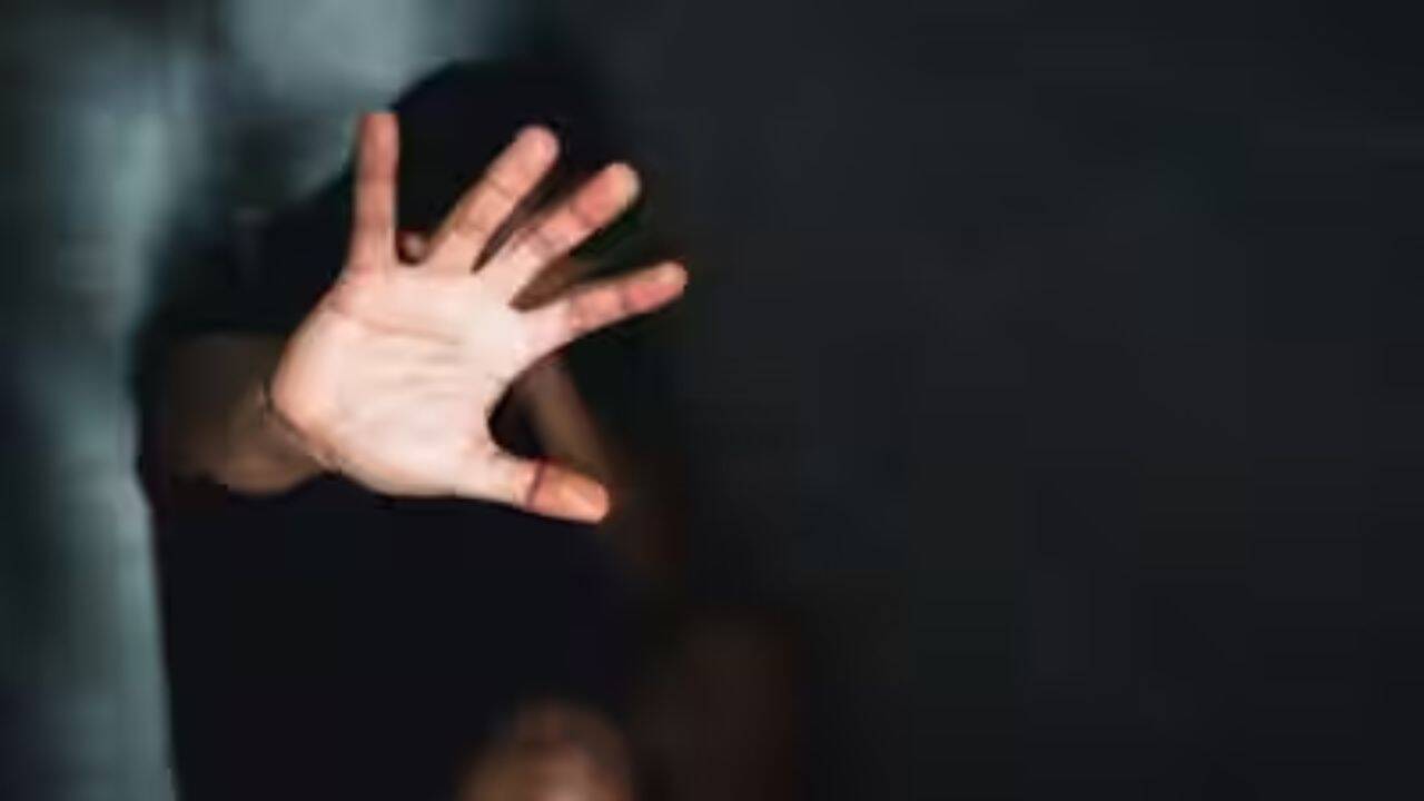 Indian-origin landlord sued in US for 'sexually harassing' female tenant