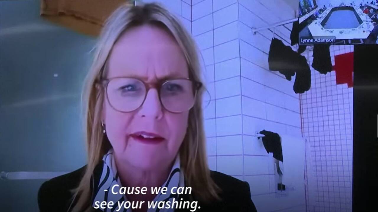 New Zealand councillor joins Zoom meeting from bathroom
