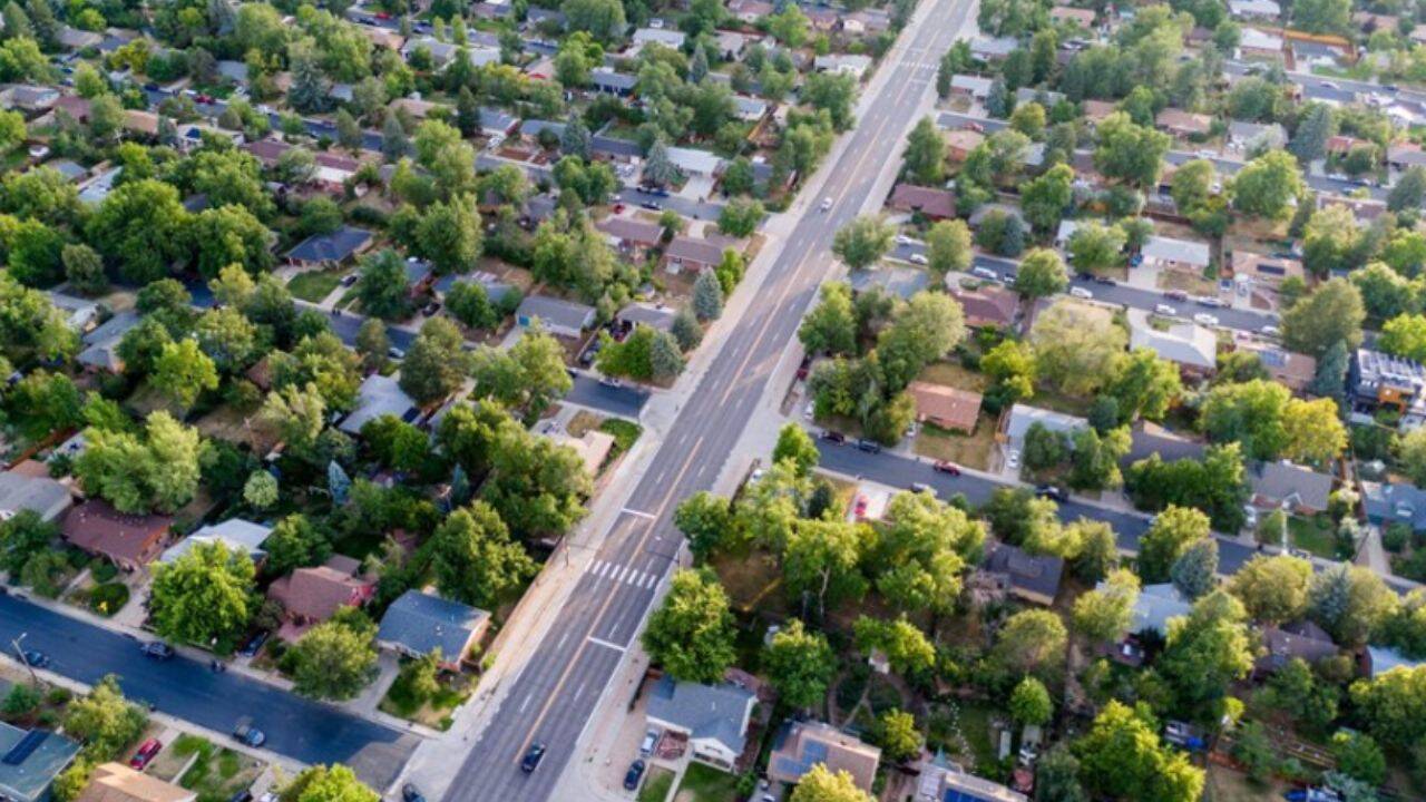 Chicago study links more urban tree cover to fewer deaths