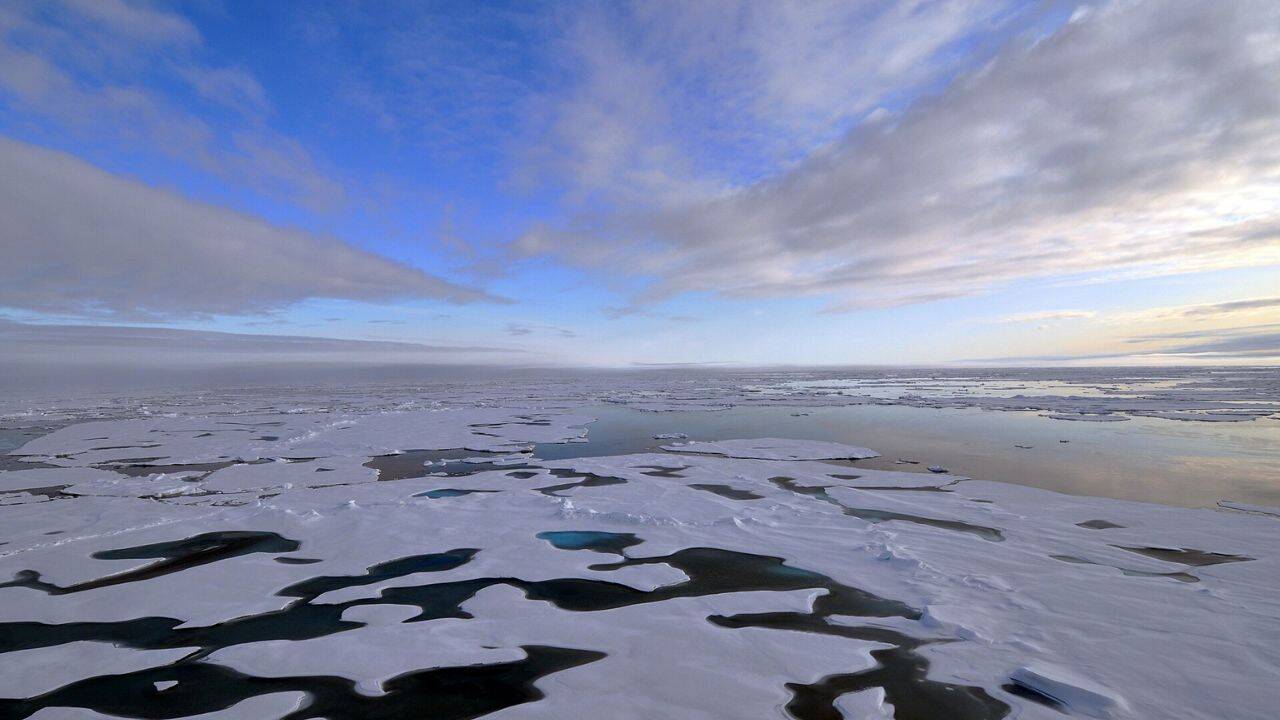 Which chemical reactions were discovered in the Arctic atmosphere