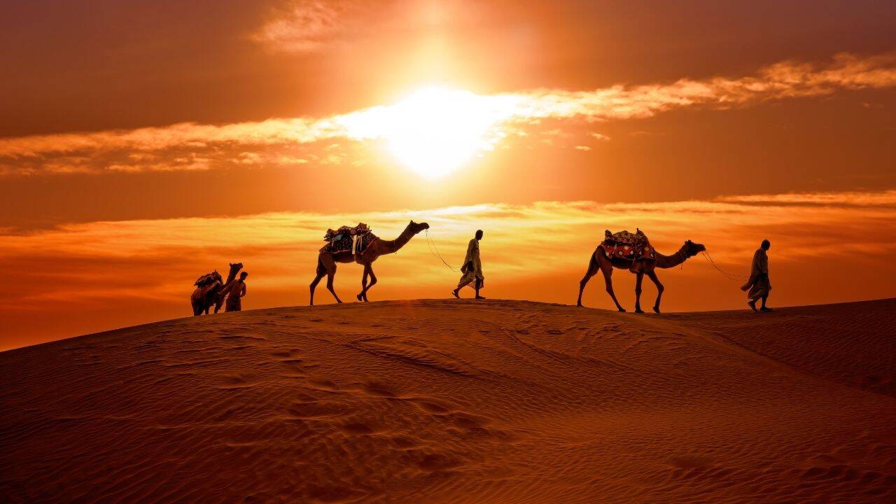 Camels carrying baggages