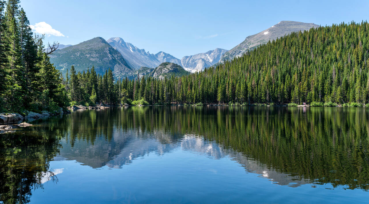 Scientists may examine the water samples to tell which species are present without having to catch or see the animals