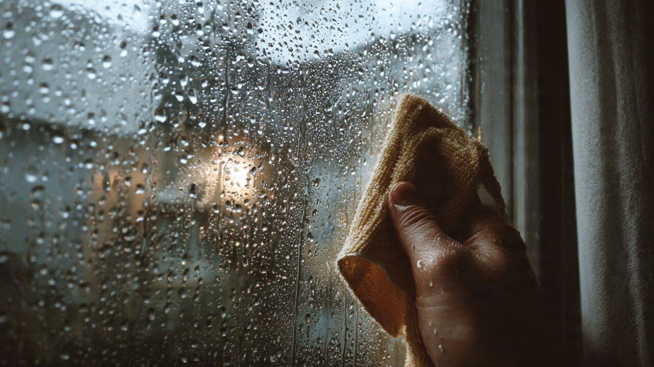Remove condensation before it settles <br><br><br>
