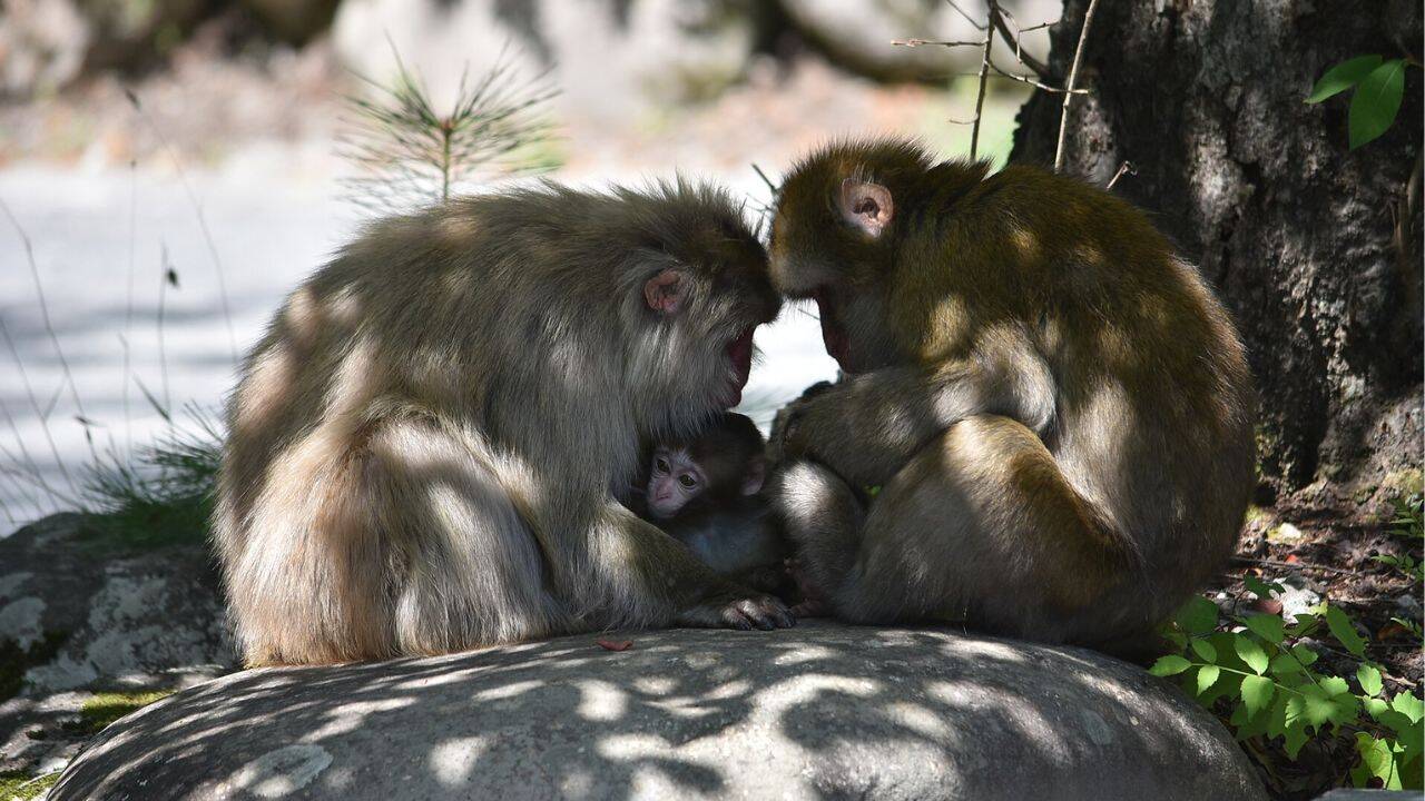 Is every encounter a positive experience for the animals
