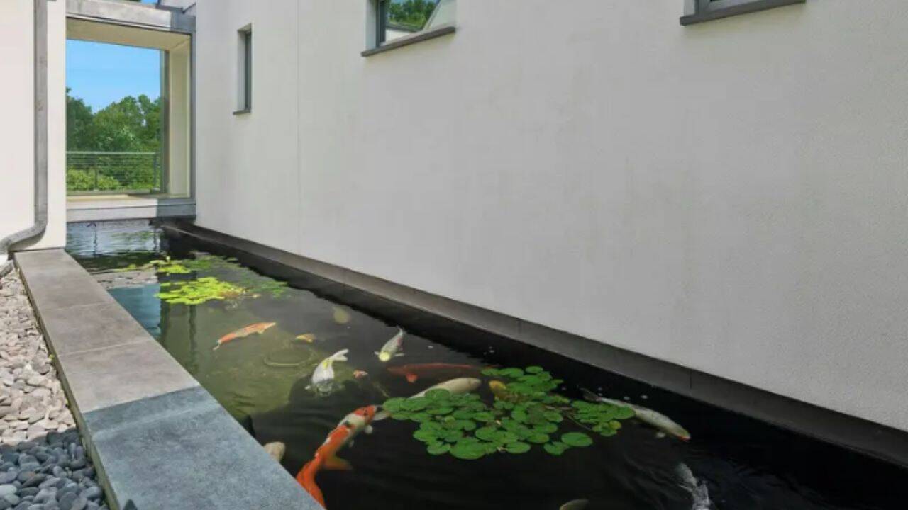 Inside Rob Zombie’s former $6.5 million Origami House with glass walls, waterfalls and a koi sanctuary