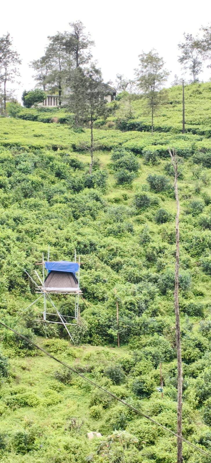 Forest department has erected elevated watchtowers Permade tiger.jpg