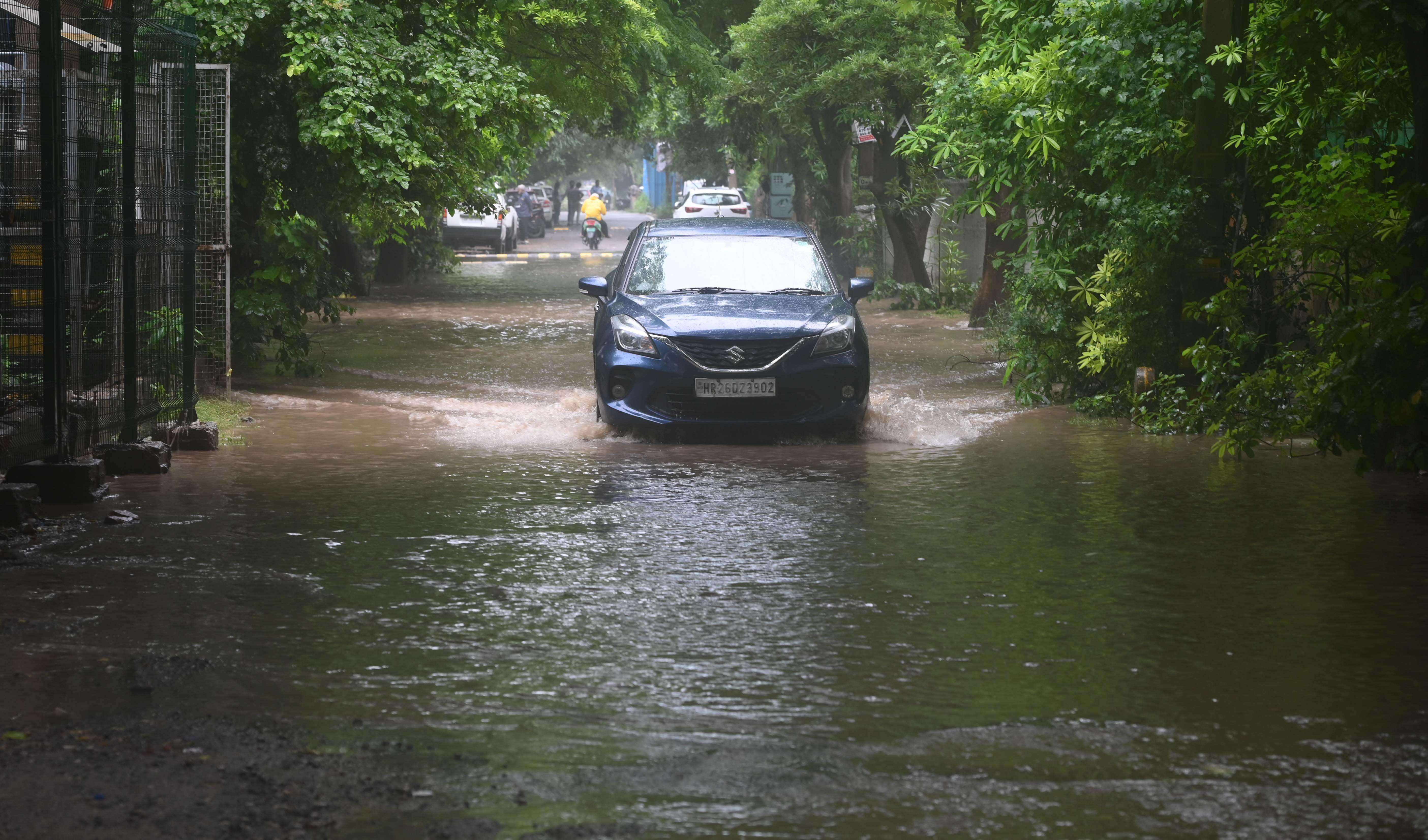 WATERLOGGING-4.jpg