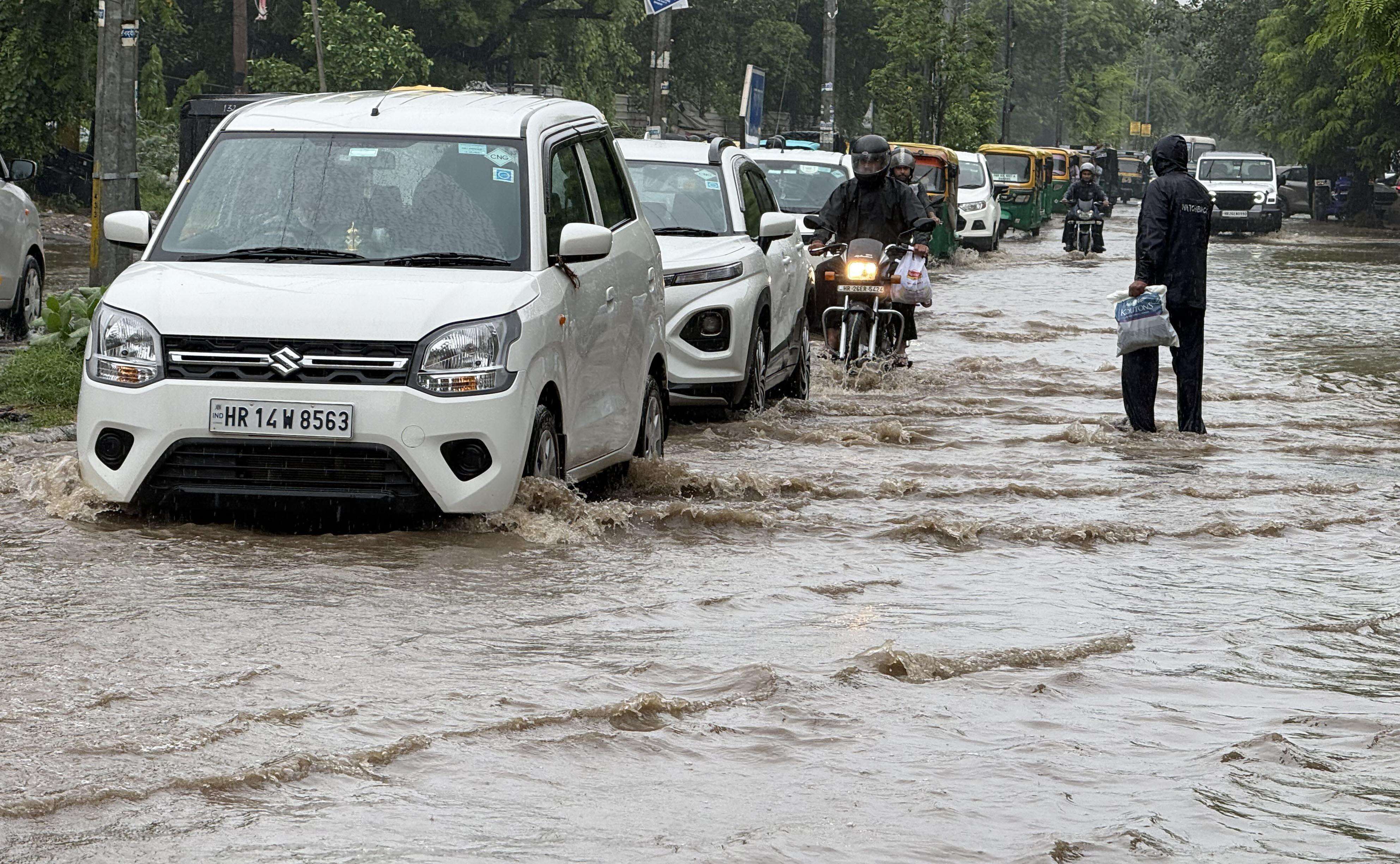 WATERLOGGING-14.jpg