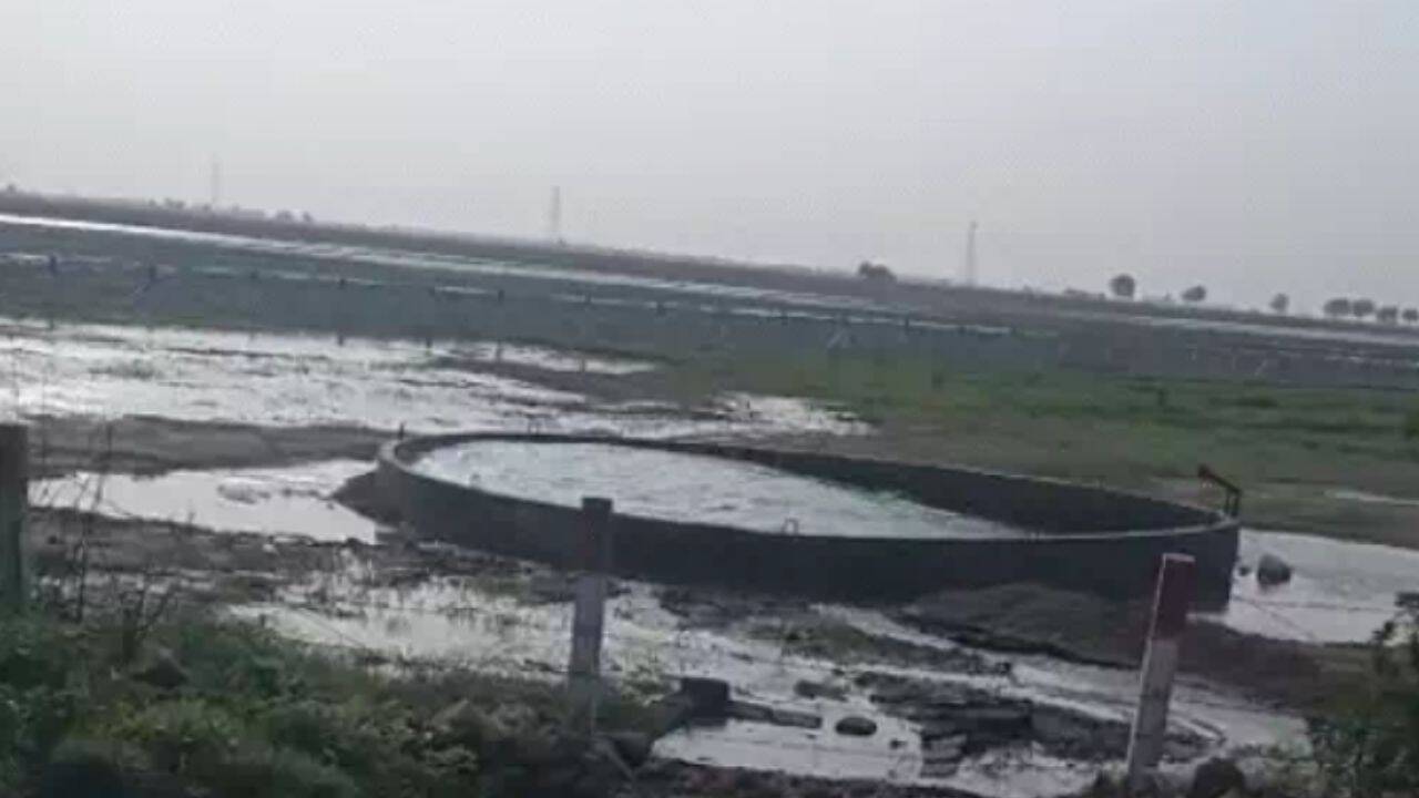 Rainfall causing the oscillation?<br><br>