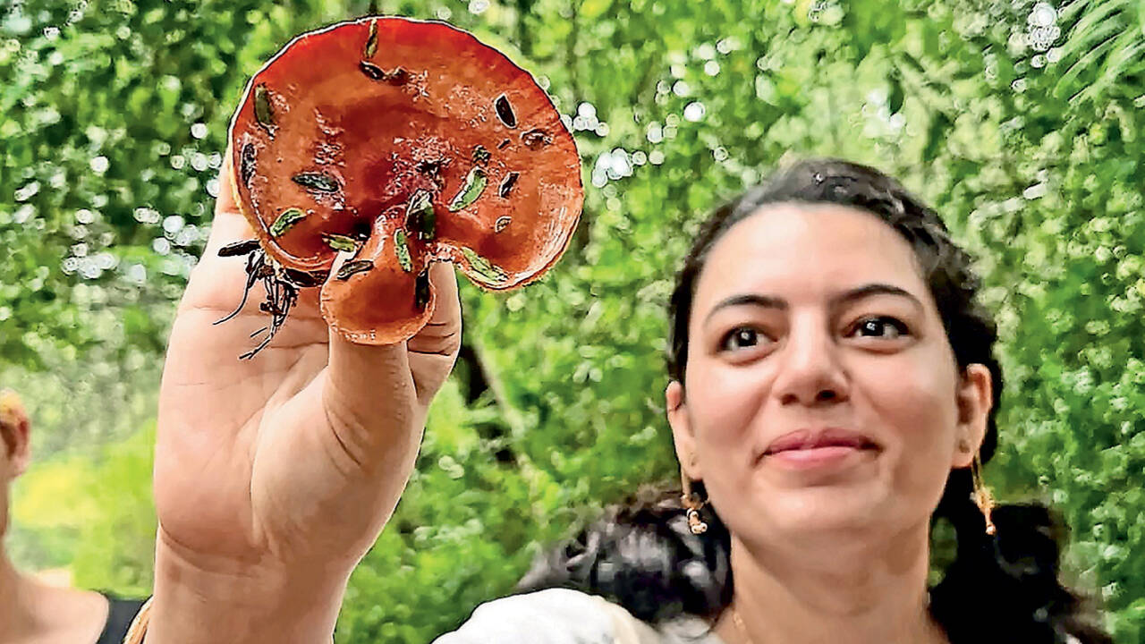 Fungi Foray in city forests: A monsoon must-do