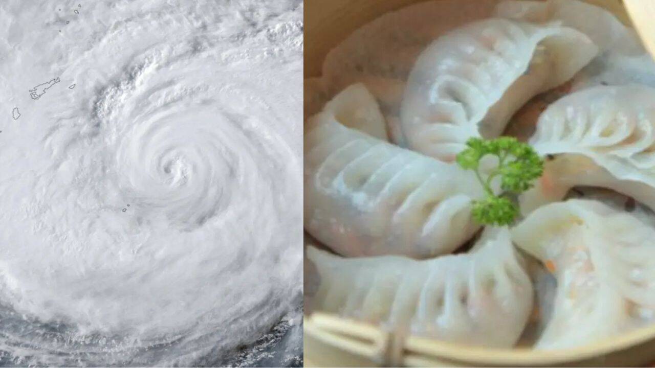 From Typhoon Dim-sum to frogs and snakes: Asia’s cyclones feature unusual names