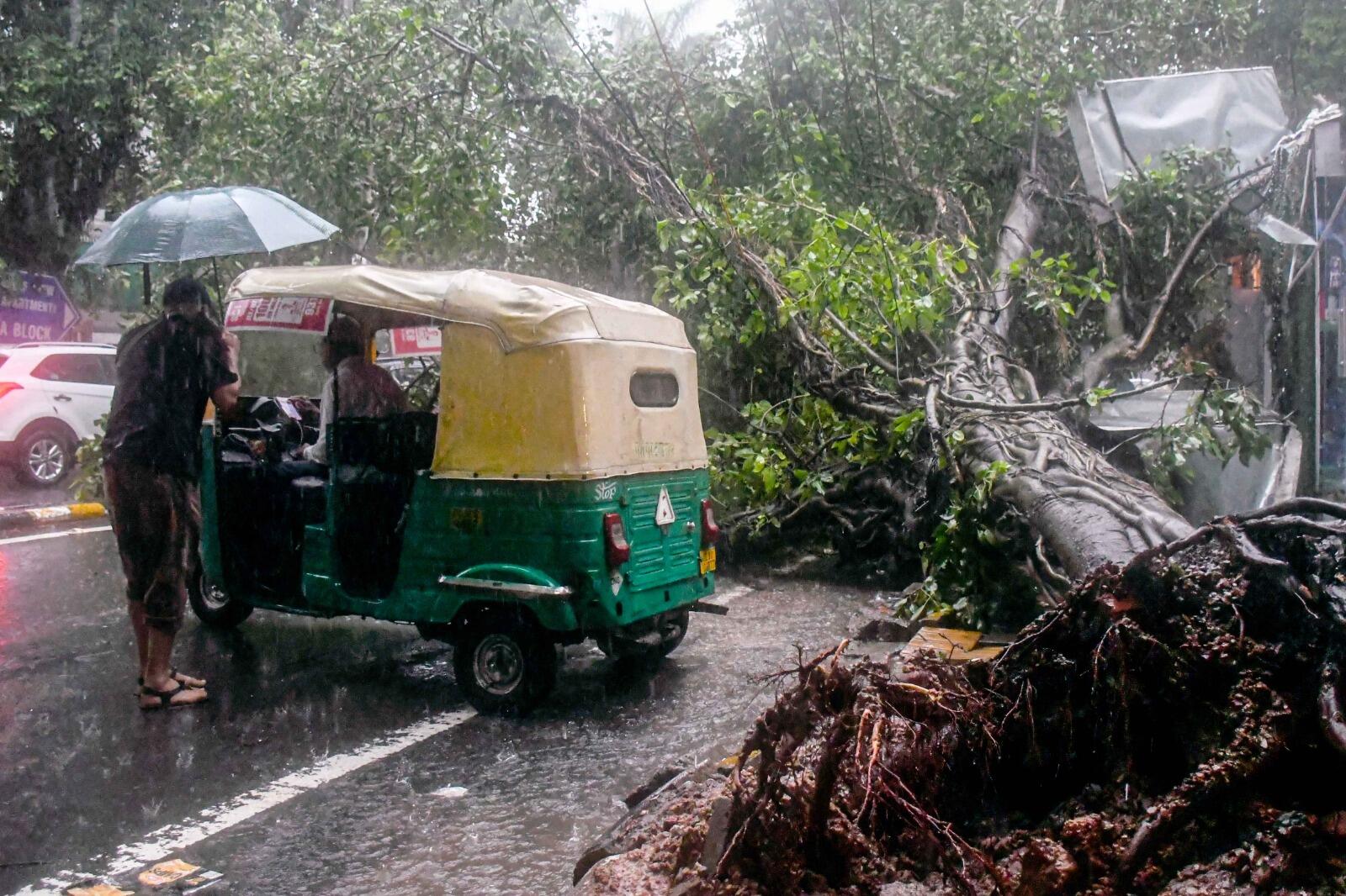 A tree collapsed near Gate No. 4 of Malviya Nagar Metro Station after heavy rain in New Delhi.