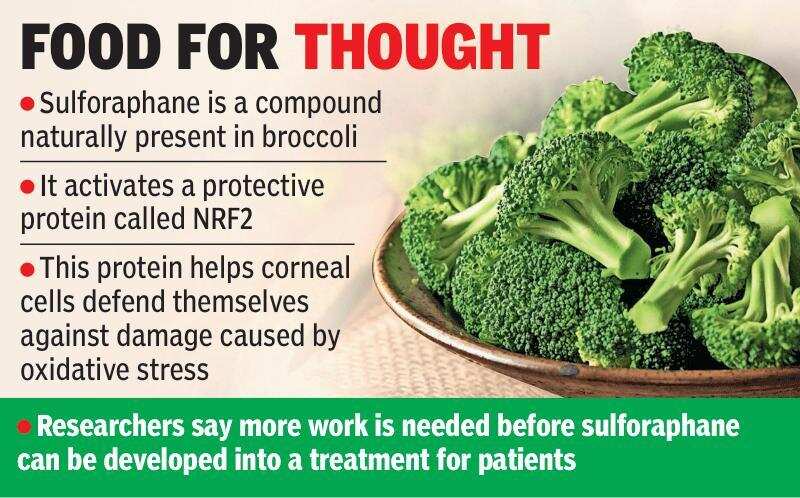Research on broccoli.jpg