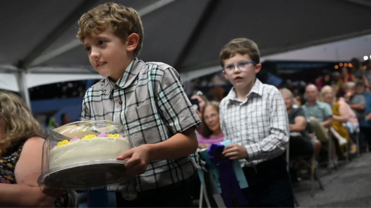 10-year-old baker's grand champion cake fetches $15,000 at Maryland county fair auction