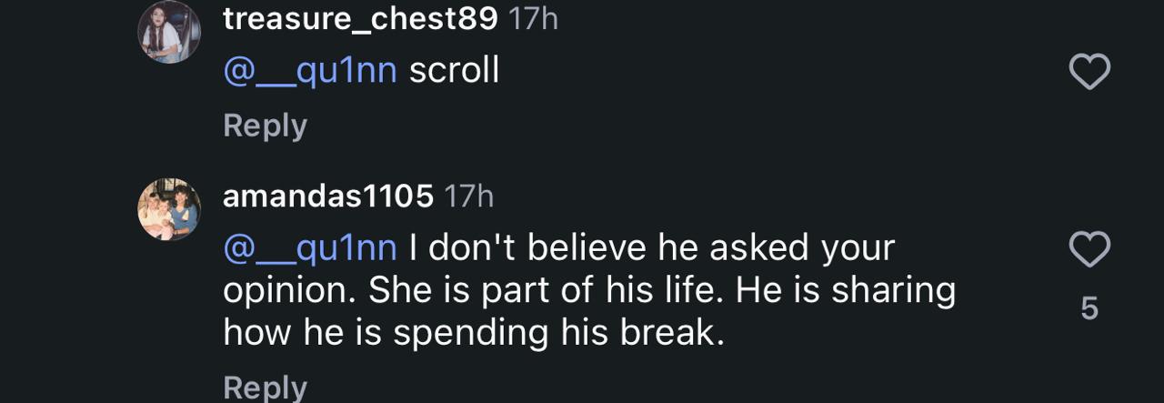 Lewis Hamilton's comment section