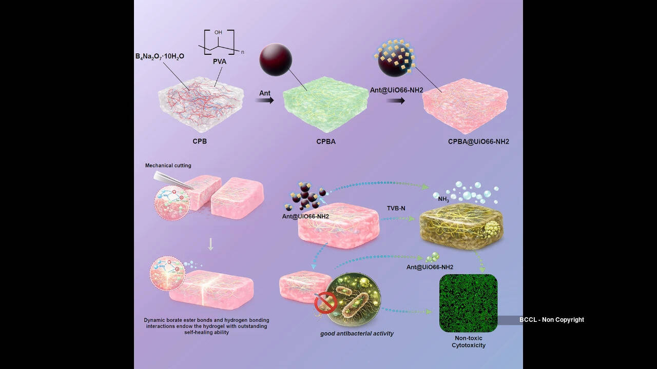 Photo: Science Direct