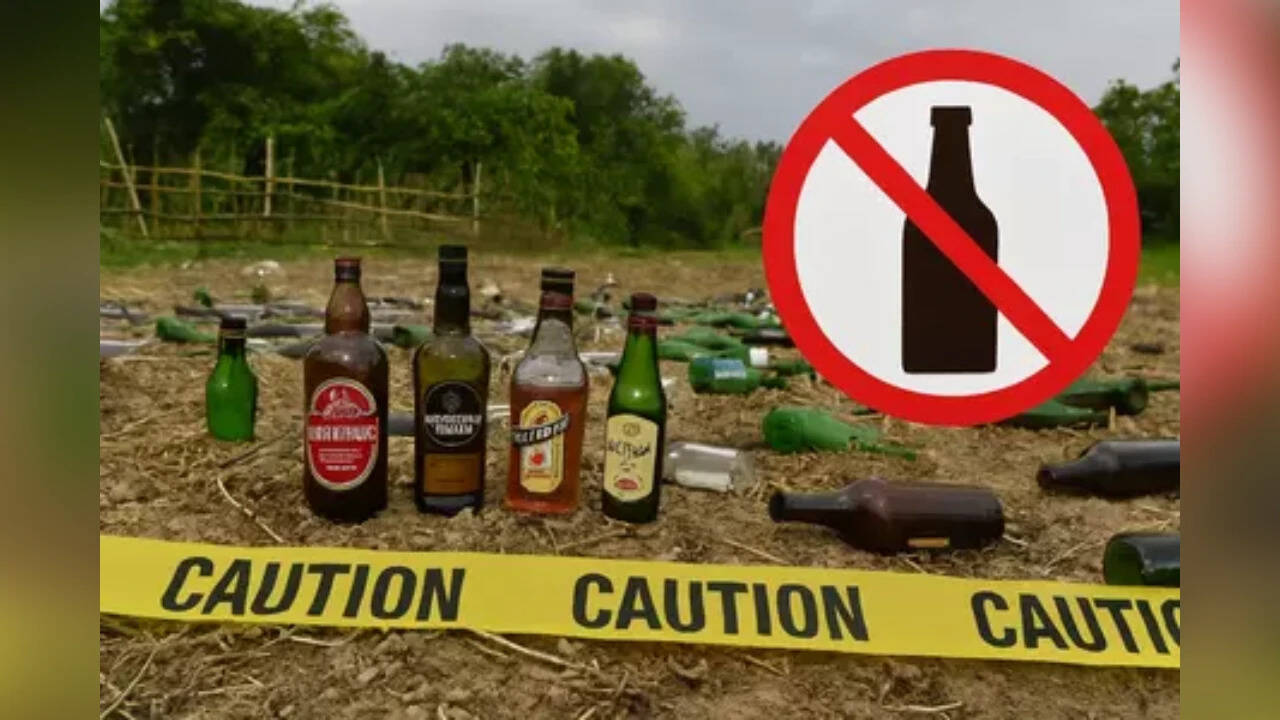 Bihar should withdraw alcohol ban as it failed to curb crimes against women: Report