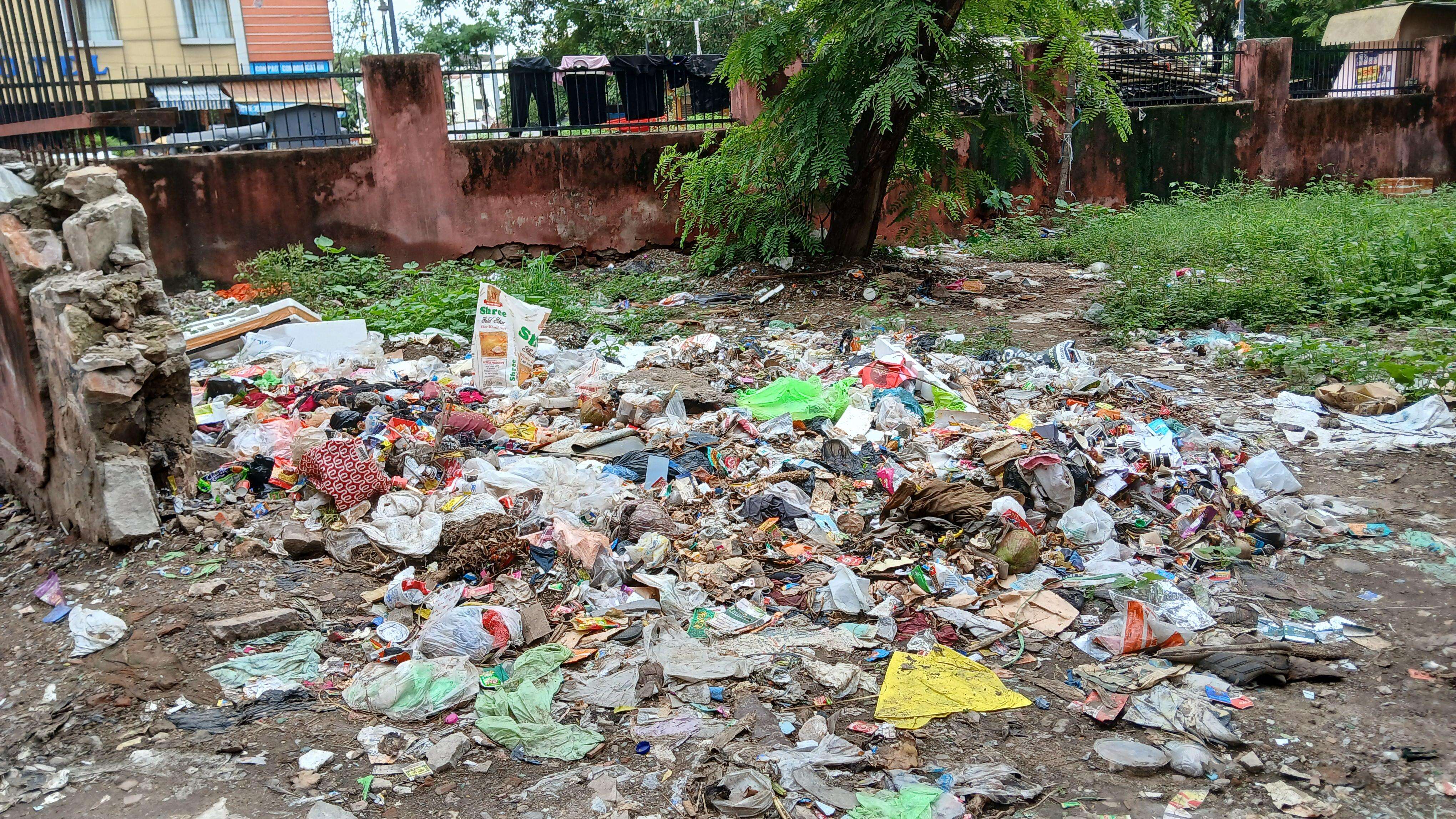 Garbage in Lal Kothi area (Bhagirath) (2).jpg