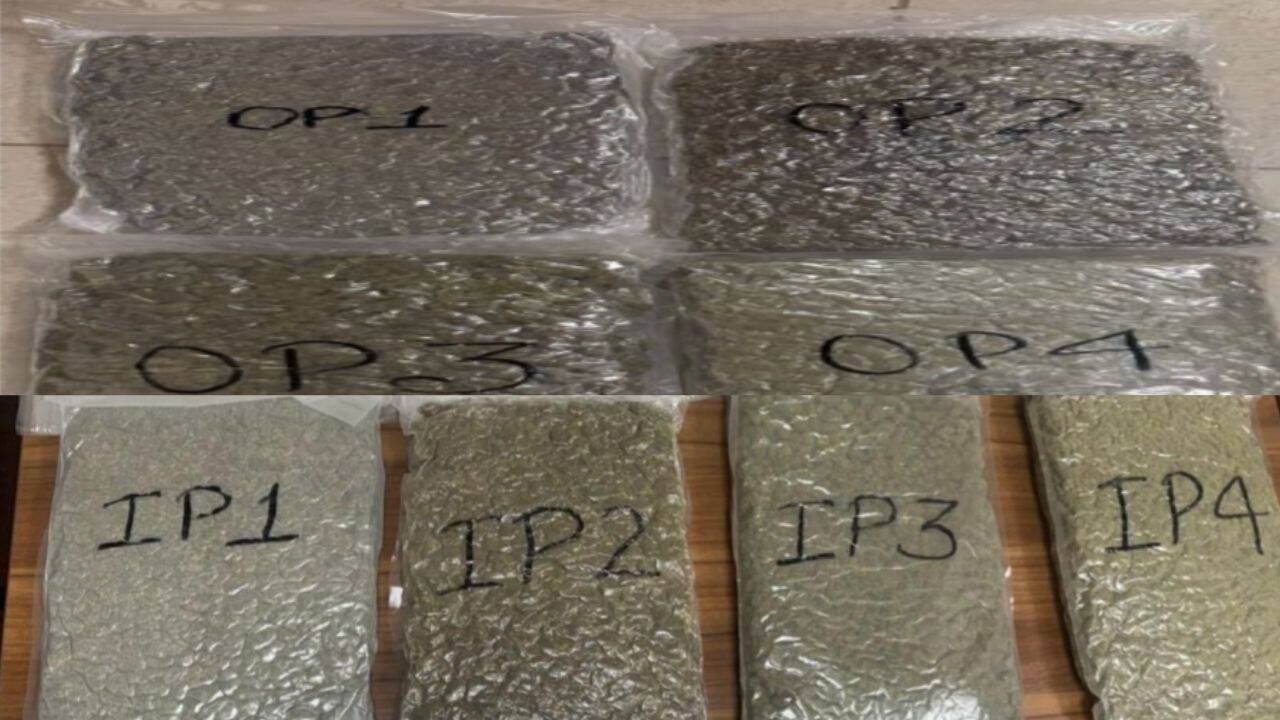 Malaysian national held at Chennai airport with 4 kg hydroponic ganja